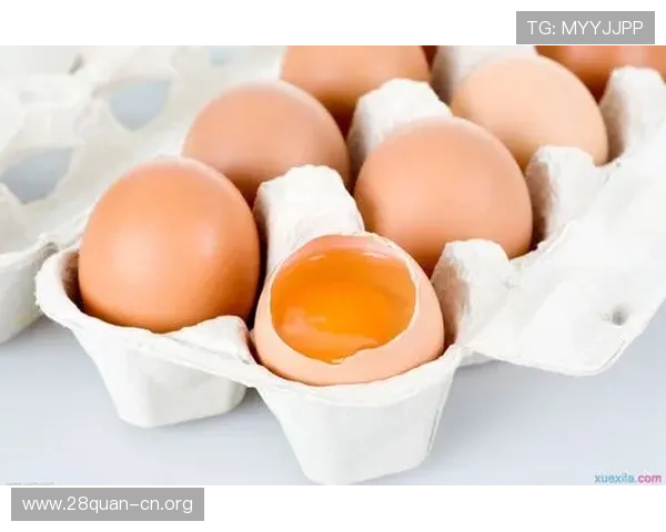 南宫NG备用平台用户评价与使用体验分享，帮助新手快速上手