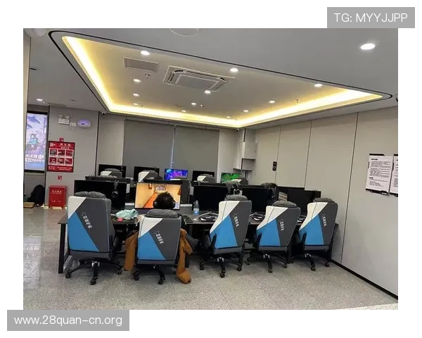 南宫旗下品牌在电竞与休闲游戏领域的布局与未来规划