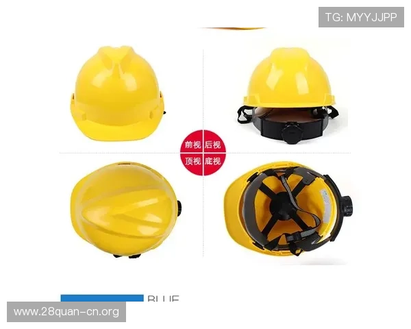 PP下载软件的安全性分析与使用建议，保障用户设备和个人信息安全